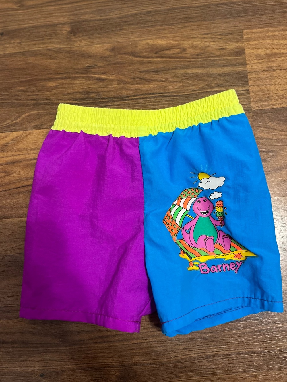 Vintage 90’s Barney Colorblock Swim Shorts